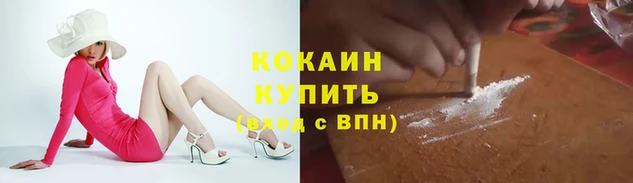 apvp Долгопрудный