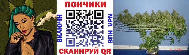 МЕГА ТОР  Змеиногорск  мориарти клад  Канабис марихуана 